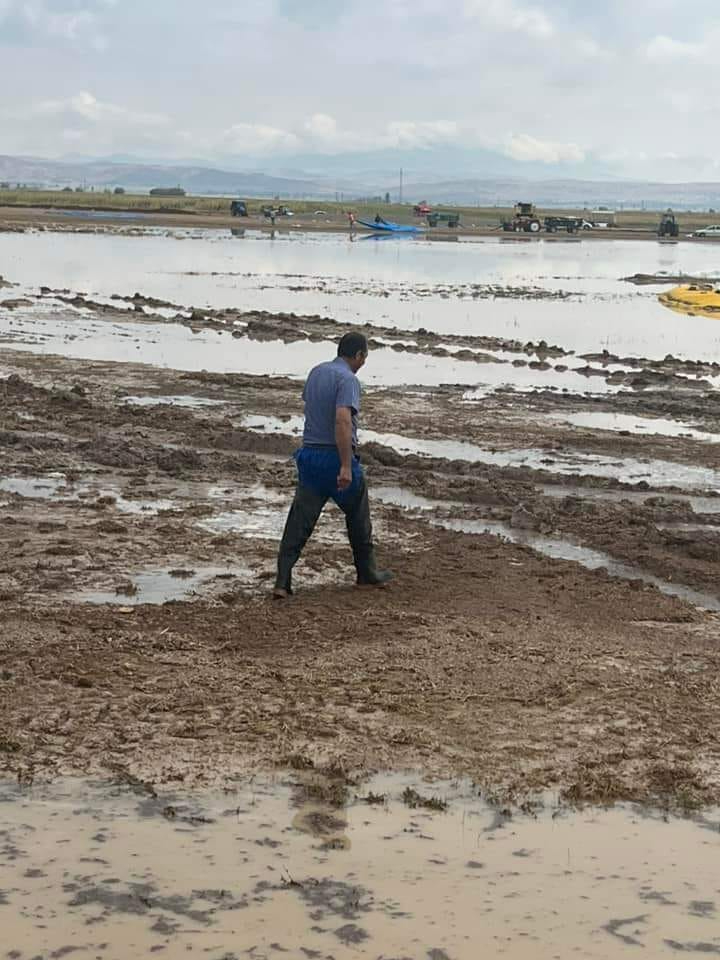 Sağanak Yağış Çiftçinin Alın Terini Vurdu