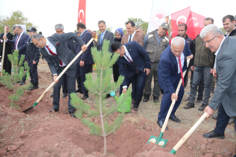 Cumhuriyetin Yeni Yüzyılında "100. Yıl Hatıra Ormanı" Açıldı