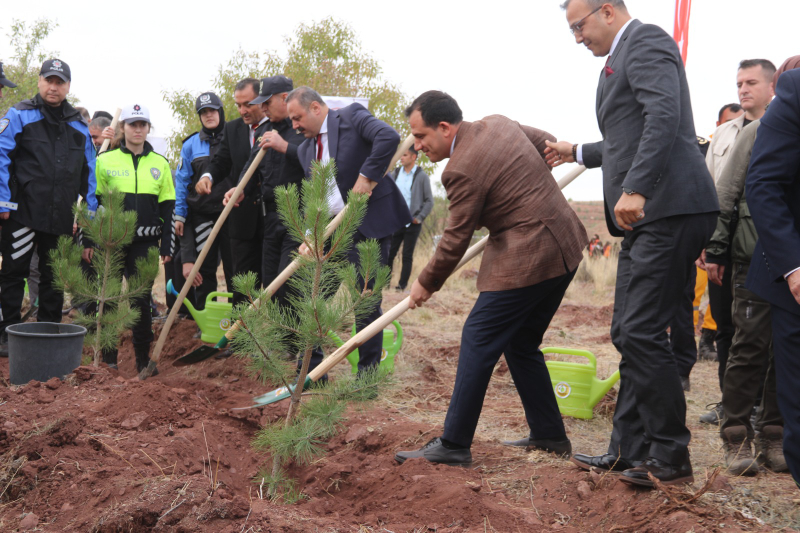 Cumhuriyetin Yeni Yüzyılında "100. Yıl Hatıra Ormanı" Açıldı