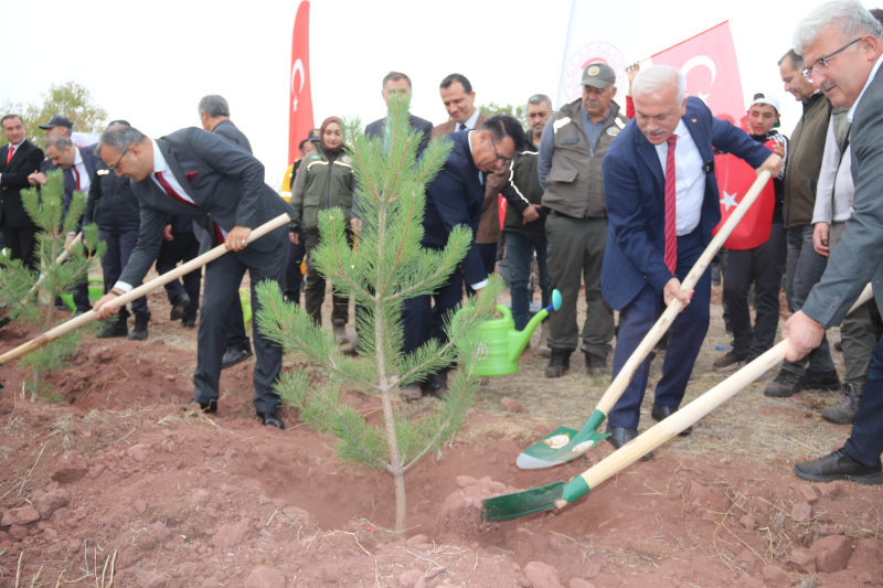 Cumhuriyetin Yeni Yüzyılında "100. Yıl Hatıra Ormanı" Açıldı