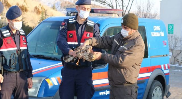 Yaralı Şahin'e Jandarma Sahip Çıktı