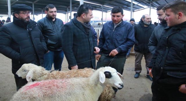 Hayvan Pazarında Üretici İsyan Etti