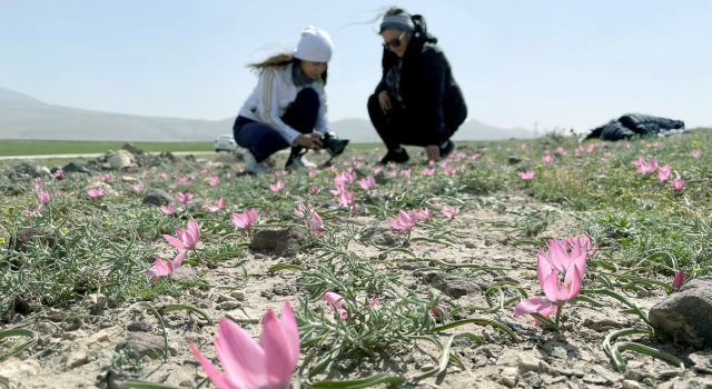 Aksaray’a Özel Bitkiler Foto Kitapta Toplanacak