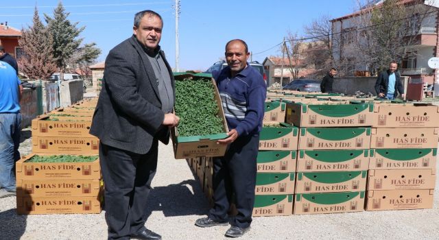 Ziraat Odası Fideleri Sebze Fiyatlarını Düşürecek