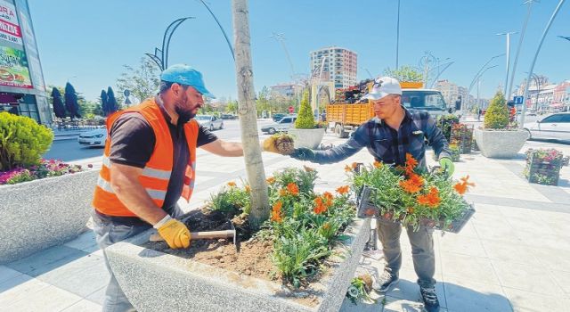 Belediye Çiçek Maliyetini Düşürdü