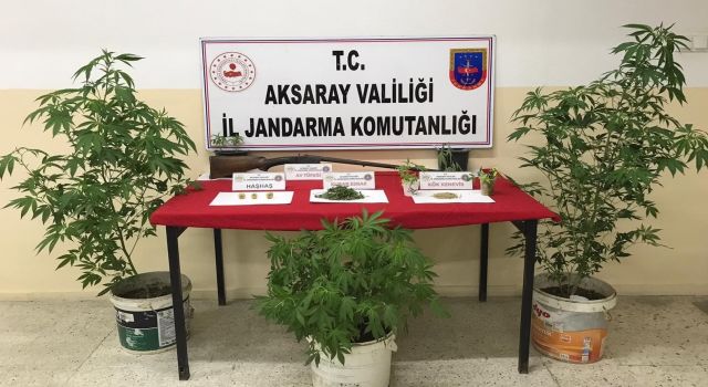 Aksaray’da Kenevir Ekenlere Göz Açtırılmıyor