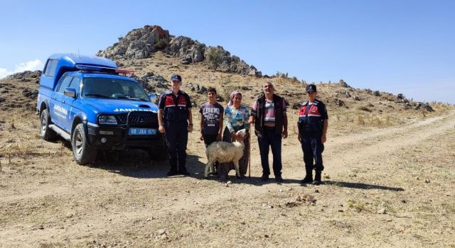 Jandarma Kayıp Koyunları Drone İle Buldu