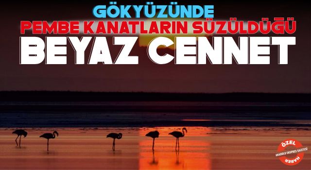 Gökyüzünde Pembe Kanatların Süzüldüğü Beyaz Cennet