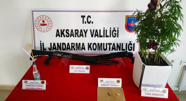 Jandarma Yasadışı Kenevir Yetiştiren Şahsı Enseledi