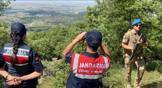 Jandarma Orman Yangınlarına Karşı Teyakkuzda!