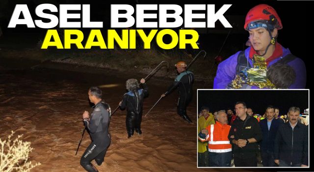 Asel Bebek Aranıyor