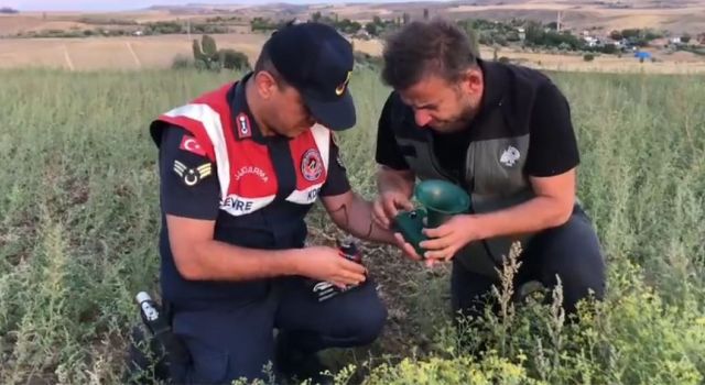 Kaçak Avcıların Oyununu Jandarma Bozdu