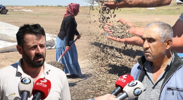 Yeşiltepe AK Parti Belediye Meclis Üyesi “Çekirdek Para Etmiyor Biz Ne Yapalım Hırsızlık Mı Yapalım?”