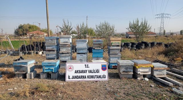 Arı Kovanlarını Çaldı JASAT Nevşehir'de Yakaladı