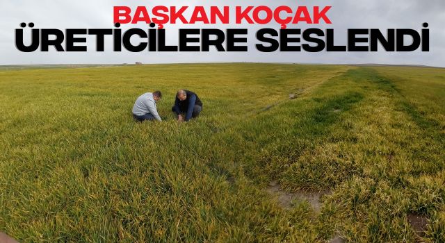 Başkan Koçak Üreticilere Seslendi