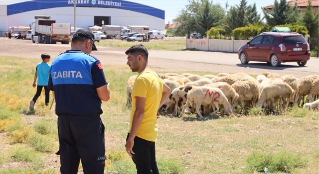 Uygun Olmayan Yerlerde Kurban Satışına Belediyeden Geçit Yok