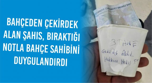 Bahçeden Çekirdek Alan Şahıs, Bıraktığı Notla Bahçe Sahibini Duygulandırdı