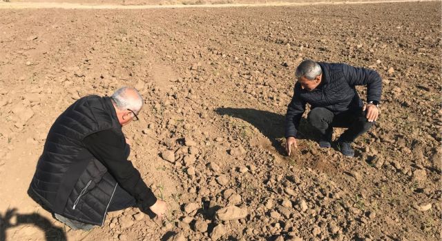 VERİMLİ TARIM İÇİN EKİPLER DURDURAK BİLMEDEN SAHADA 