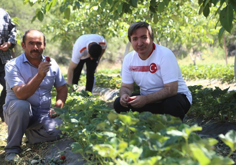 Aksaray Çileğinde Toplulaştırma Hamlesi