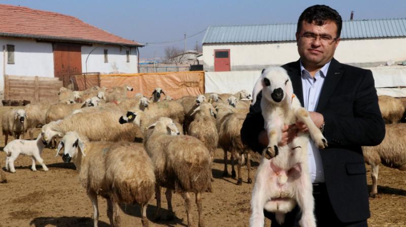 Damızlık Birliğinden Uyarı!