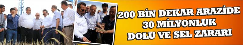 200 Bin Dekar Arazide 30 Milyonluk Dolu Ve Sel Zararı