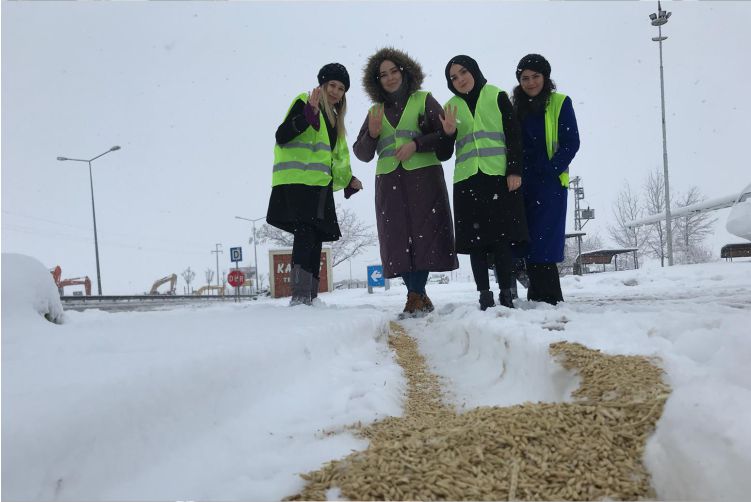 Doğada Yaşayan Hayvanlar İçin Yem Bırakıldı