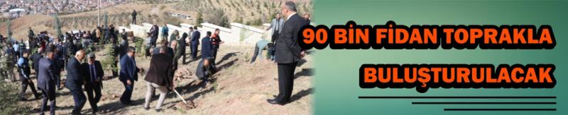 90 Bin Fidan Toprakla Buluşturulacak