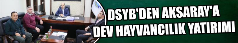 Dsyb’den Aksaray’a Dev Hayvancılık Yatırımı