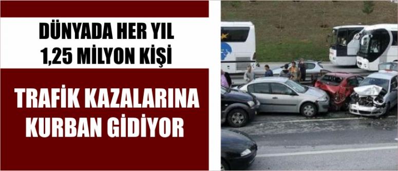 Dünyada Her Yıl 1,25 Milyon Kişi Trafik Kazalarına Kurban Gidiyor