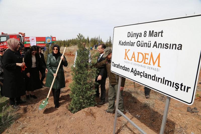 Hatıra Ormanı’nda Cansuyu Verildi