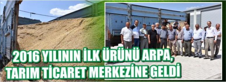 2016 Yılının İlk Ürünü Arpa, Tarım Ticaret Merkezine Geldi