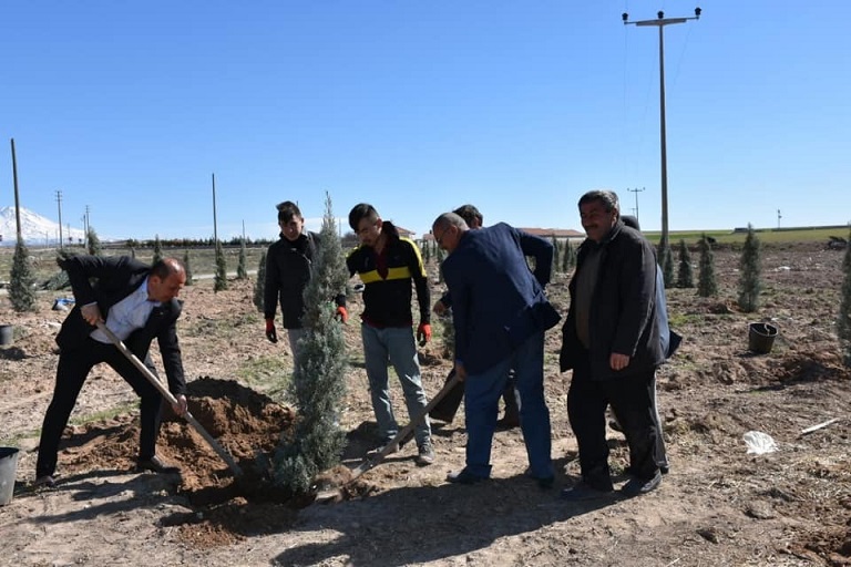 Kutlu Köyüne Yeşil Müjde