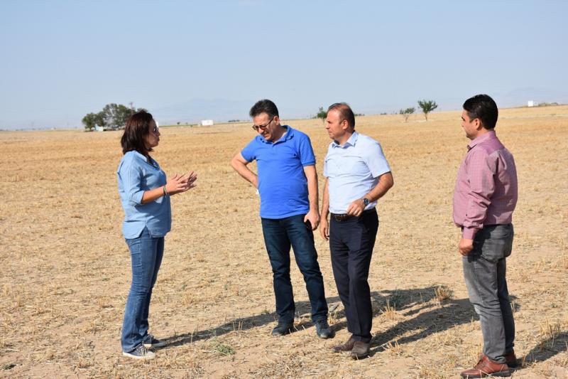 Lavanta’da Öncü Olma Yolundayız