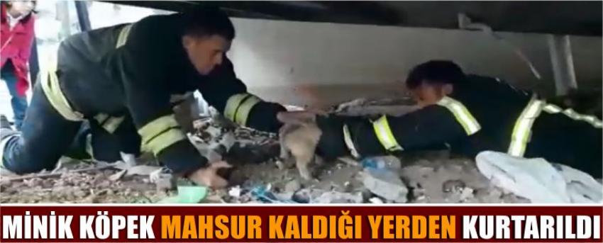 Minik Köpek Mahsur Kaldığı Yerden Kurtarıldı