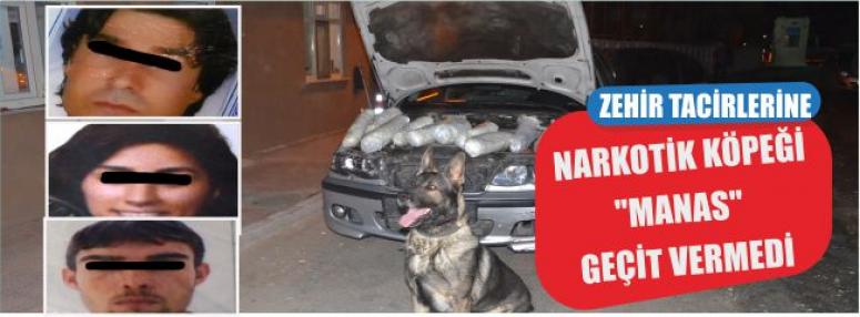 Zehir Tacirlerine Narkotik Köpeği "Manas" Geçit Vermedi