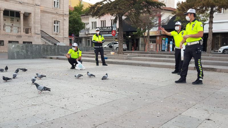 Emniyetten Güvercin Görevi