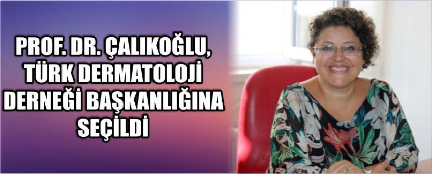 Prof. Dr. Çalıkoğlu, türk dermatoloji derneği başkanlığına seçildi