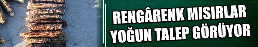 Rengârenk Mısırlar Yoğun Talep Görüyor