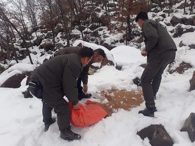 Yaban Hayvanları İçin Doğaya Yem Bırakılıyor