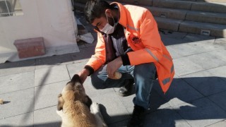 Temizlik Yaptığı Bölgede Sokak Hayvanlarını Beslemeyide Unutmuyor