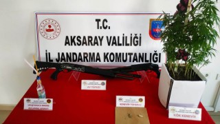 Jandarma Yasadışı Kenevir Yetiştiren Şahsı Enseledi