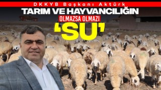 DKKYB Başkanı Aktürk: Tarım Ve Hayvancılığın Olmazsa Olmazı ‘Su’