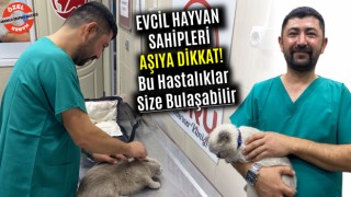 Evcil Hayvan Sahipleri Aşıya Dikkat! Bu Hastalıklar Size Bulaşabilir