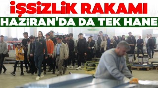 İşsizlik Rakamı Haziran'da da Tek Hane