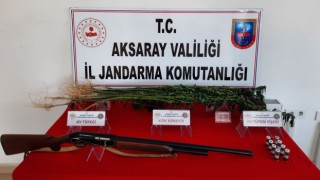 Jandarma Kökünü Kurutmaya Kararlı