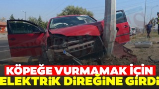 Köpeğe Vurmamak İçin Elektrik Direğine Girdi