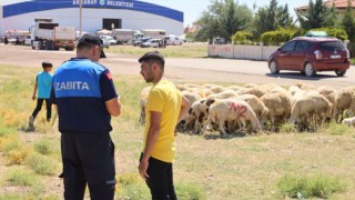 Uygun Olmayan Yerlerde Kurban Satışına Belediyeden Geçit Yok