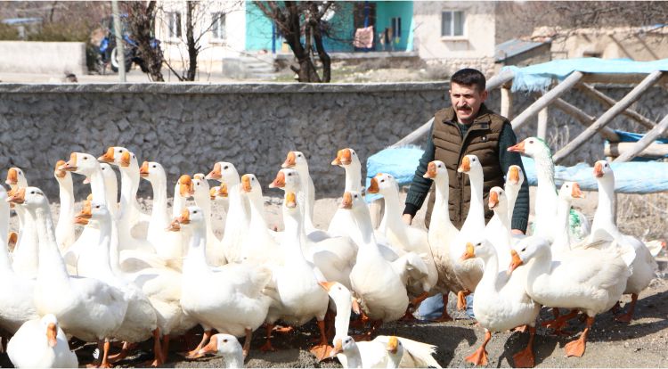 7 Kazla Üretime Başlayıp İhracatçı Oldu