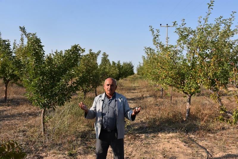 “Bahçesine Çocuğu Gibi Bakıyor”