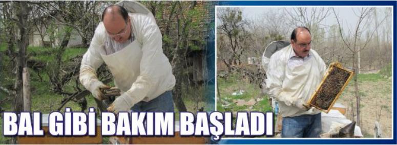 Bal Gibi Bakım Başladı